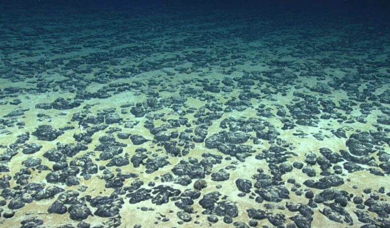 Átírhatja az élet keletkezését az óceán mélyén talált sötét oxigén