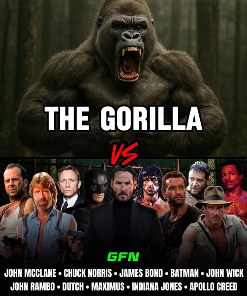 Ki nyerne: 100 férfi vs 1 gorilla – megszólalnak a szakértők