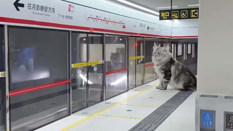 Olyan metró nyílt, amihez hasonló nincs még egy a világon