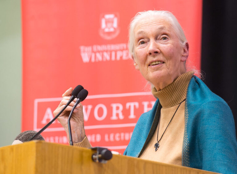 Egy legenda távozott: Jane Goodall elhunyt
