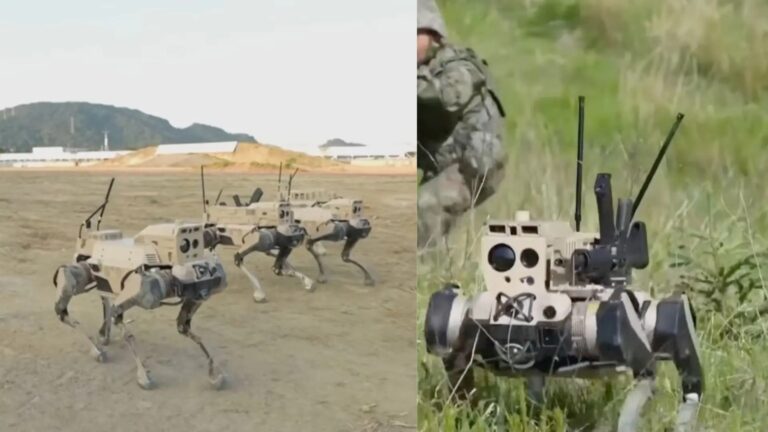 Másodpercek alatt törtek át a kínai farkasrobotok a tajvani védelmen egy hadgyakorlaton