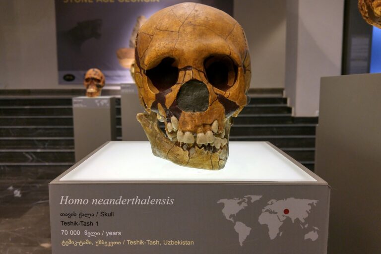 Úgy tűnik, mégsem haltak ki a neandervölgyi ősemberek